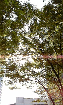 d0067640_041533.jpg