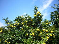 f0123142_18232833.jpg