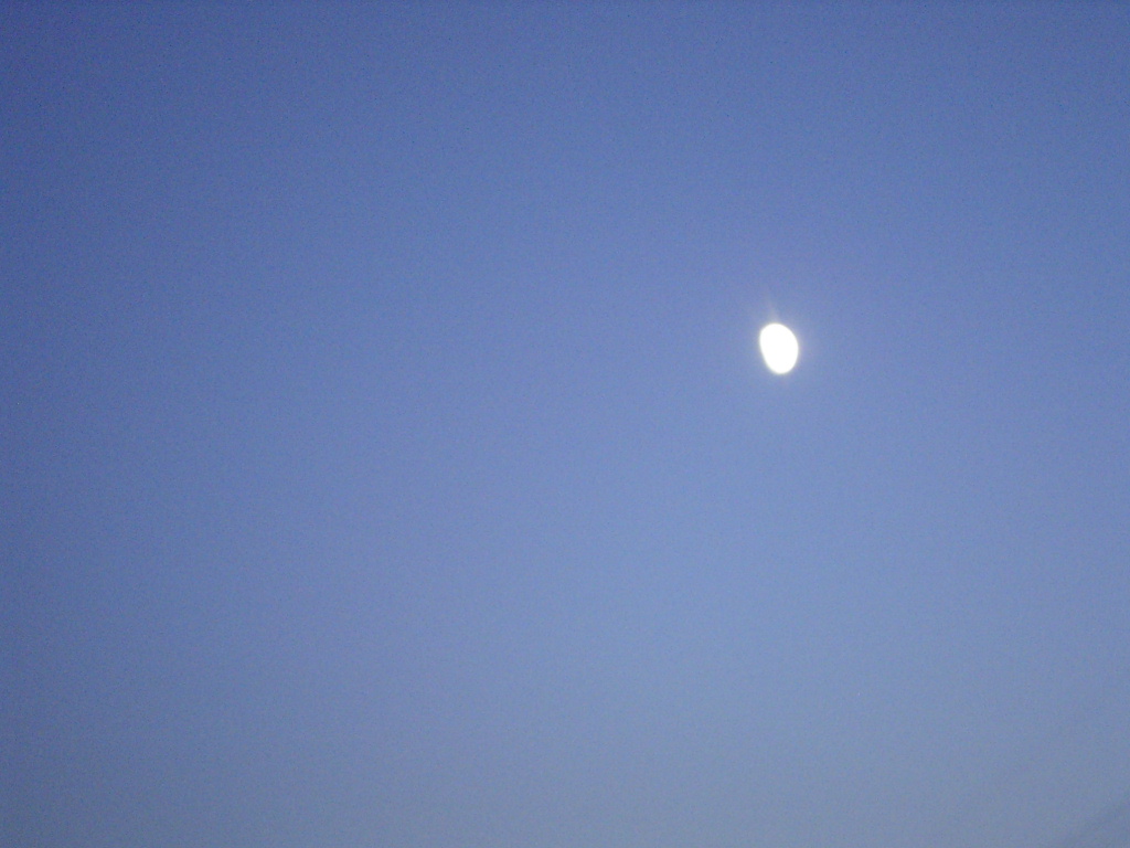 a0054043_7473559.jpg