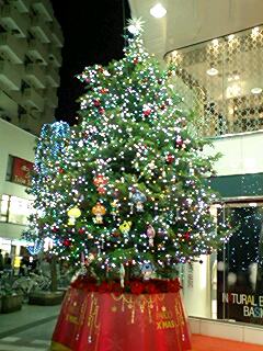 c0011446_22223296.jpg
