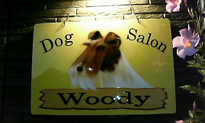 f0150047_23454592.jpg