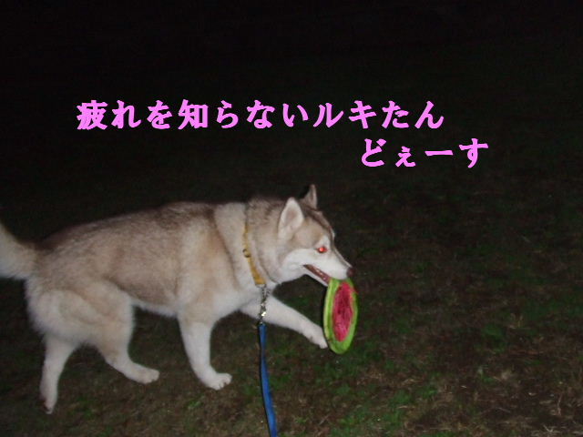 e0121548_19383823.jpg