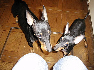 c0123149_15143492.jpg