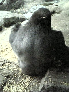 d0083551_22224140.jpg