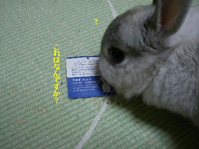 f0104057_013877.jpg