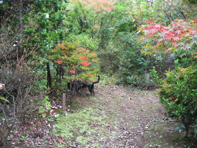 a0101958_17565113.jpg