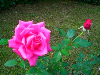 a0094959_2335059.jpg