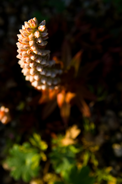 c0114161_2123564.jpg