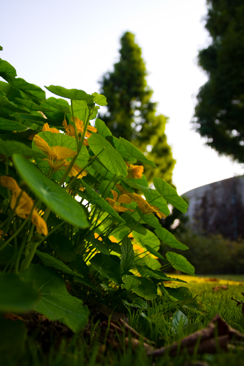 c0114161_2132490.jpg