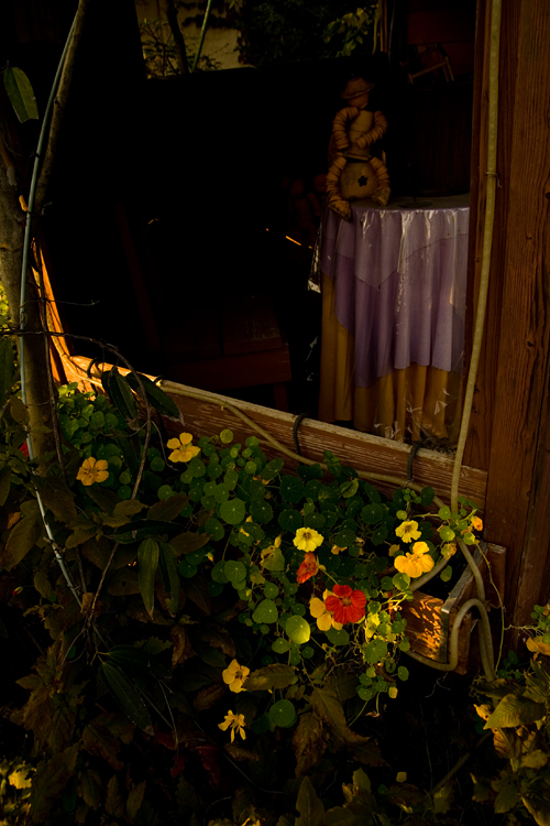 c0114161_21343878.jpg