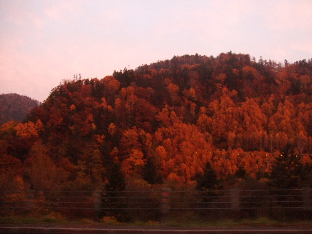 f0129864_17532410.jpg