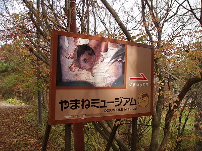 e0003465_15161497.jpg