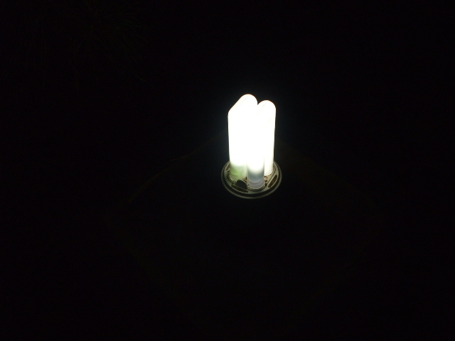 c0138868_2028130.jpg