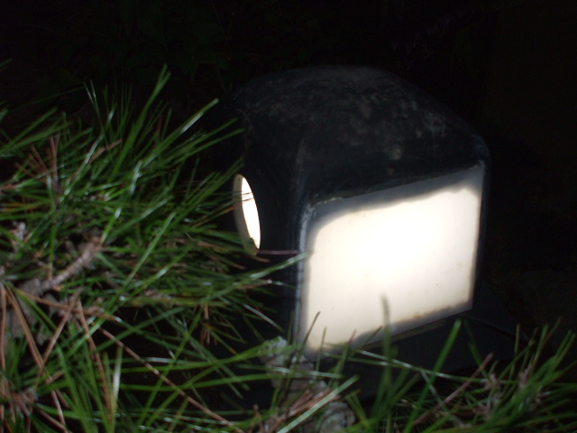 c0138868_20283074.jpg