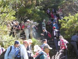 c0042869_1926698.jpg