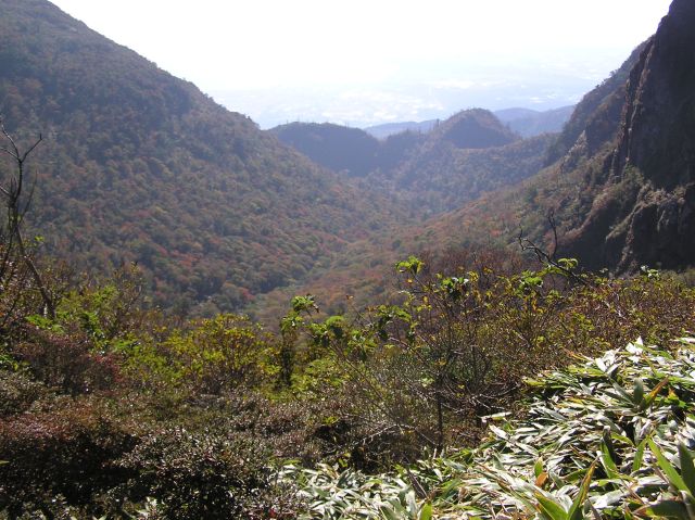 c0042869_19353234.jpg