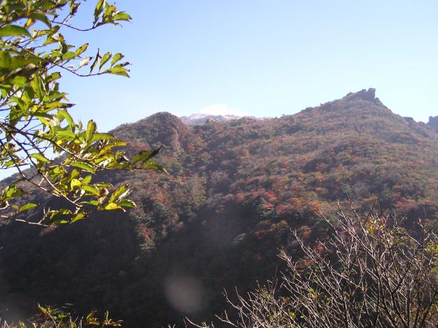 c0042869_19362292.jpg