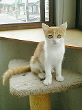 f0095271_13411354.jpg