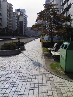 f0112873_15353476.jpg