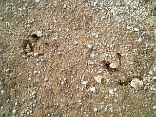 c0061774_2124112.jpg