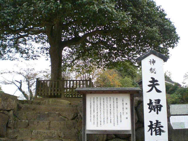 f0153475_14203826.jpg