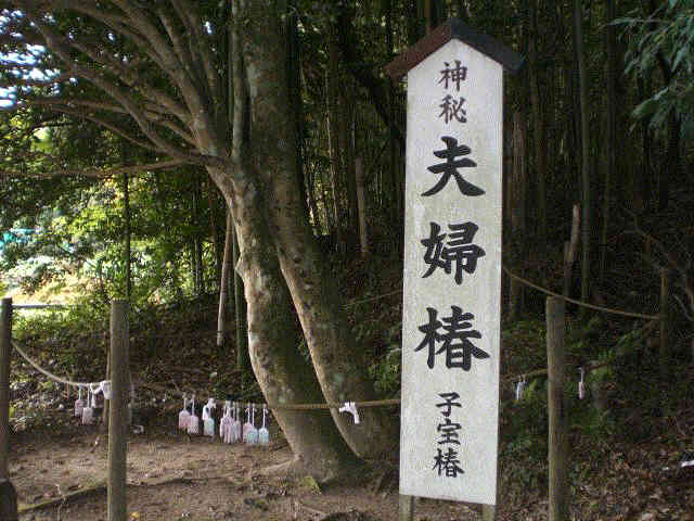 f0153475_14213538.jpg