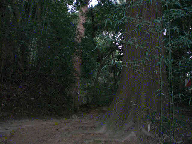 f0153475_14215682.jpg