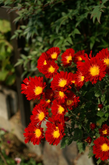 c0077379_16372876.jpg