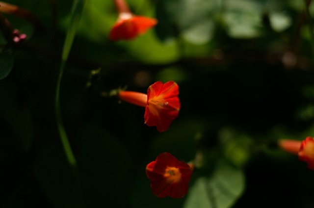 c0077379_16511929.jpg