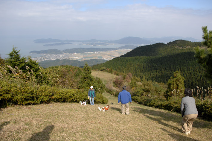 f0112087_20391177.jpg