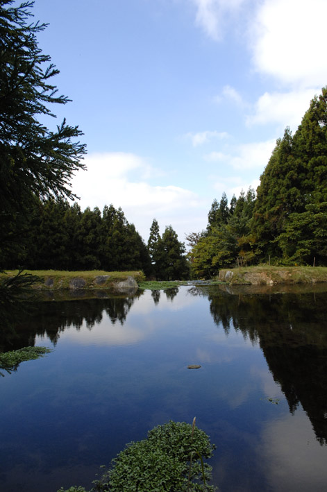 f0112087_2153159.jpg
