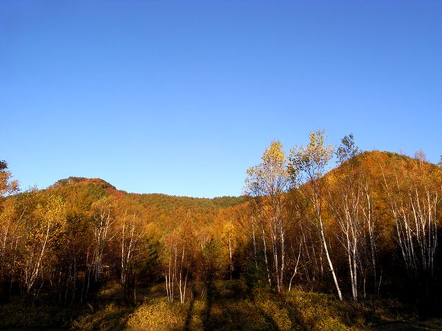 a0093592_0154241.jpg