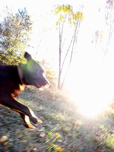 a0093592_0384298.jpg