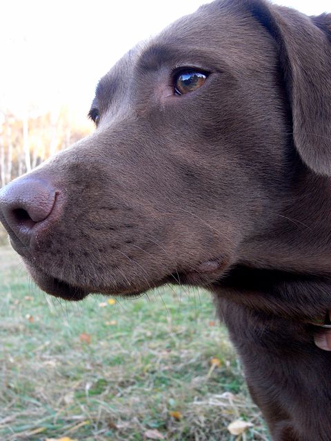a0093592_054413.jpg