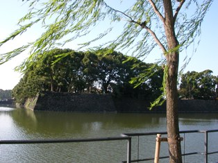 b0017892_16483122.jpg