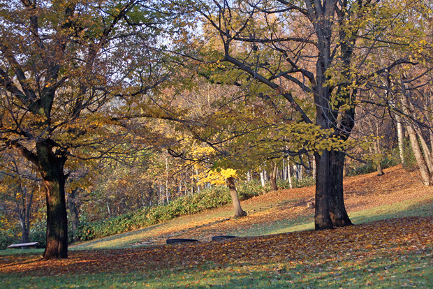 f0001895_1485673.jpg