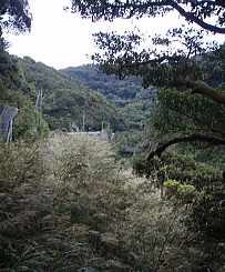 c0008598_841352.jpg