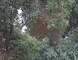 c0008598_8415127.jpg