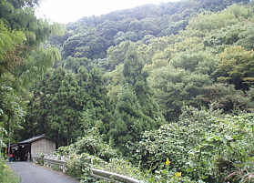 c0008598_8432118.jpg