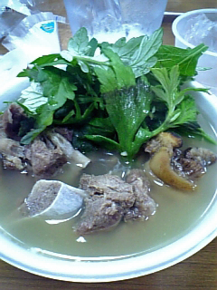 a0006100_2364286.jpg