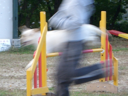 d0091700_205112.jpg