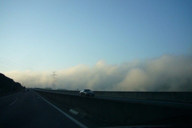 f0036700_12342480.jpg