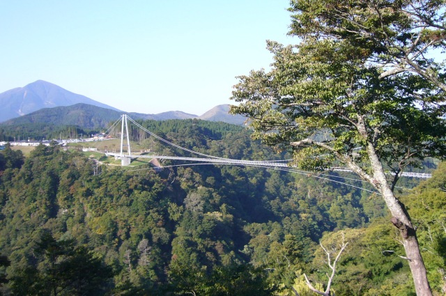 f0036700_12364762.jpg