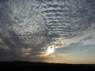 b0021101_16304460.jpg