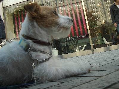 a0051402_21391859.jpg