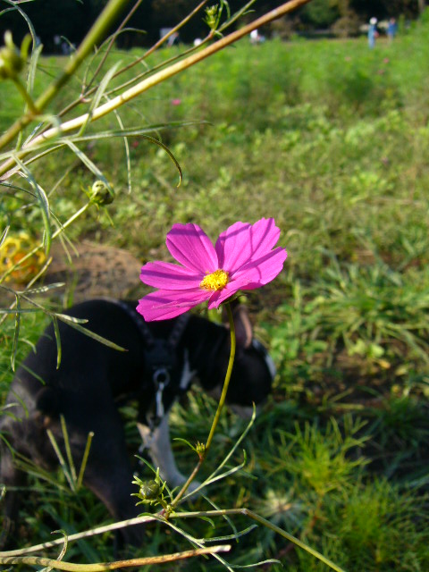 d0070702_23371929.jpg