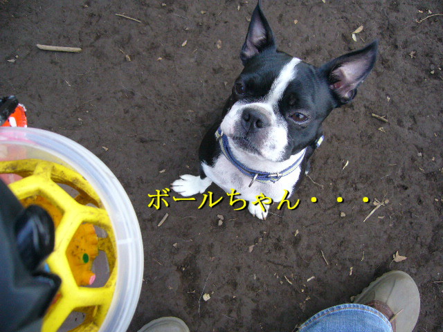 d0070702_23543295.jpg