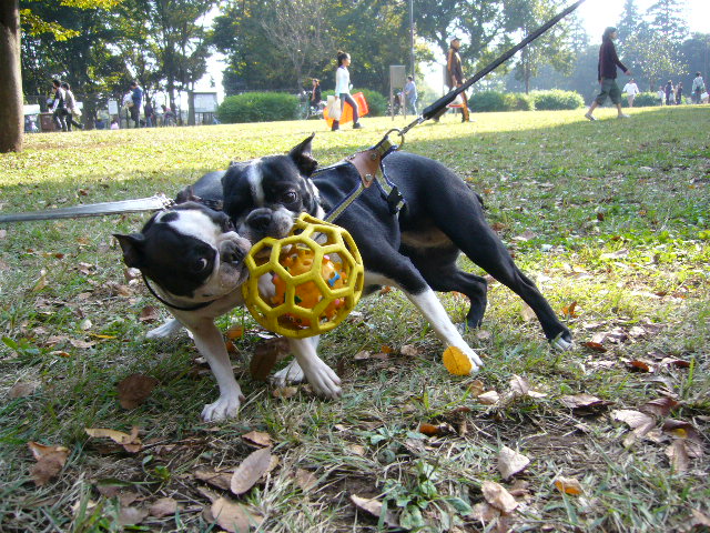 d0070702_235526.jpg