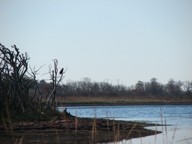 f0020302_2262130.jpg