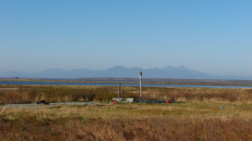 f0020302_2265333.jpg